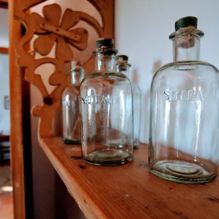 San Andrea סנט לואיס
